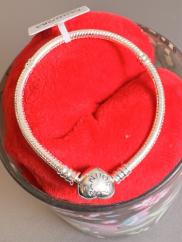 Pandora moments serie armband - moments-serie,