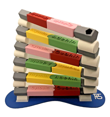 DNA-Entdeckerkit