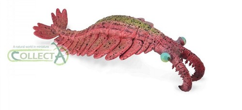 Collecta 88977 anomalocaris - collecta,