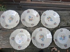 6 Schwarzenhammer Desserteller Porzellan  Blumfndekor 12 cm
