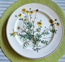 V&B BOTANICA  Speiseteller  26