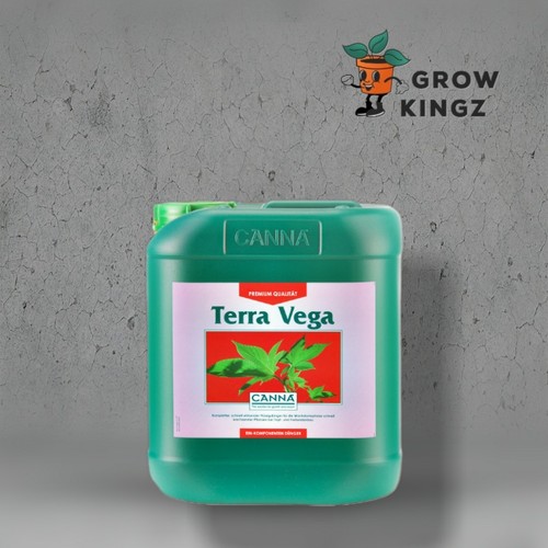 Canna terra vega - canna,