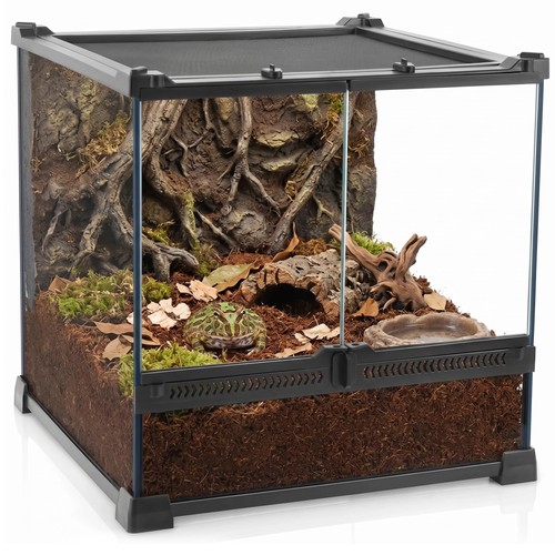 Reptilien terrarium glas - reptilien,