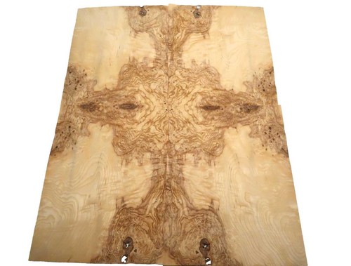 Olivesche furnier maser - olivesche,