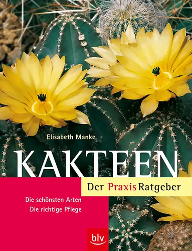 Kakteen der - kakteen, –