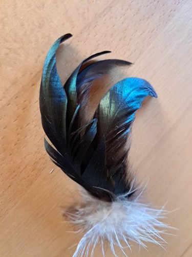 Hutschmuck jagd feder tracht - jagd,
