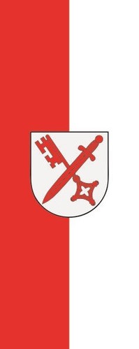 Fahne flagge naumburg - flagge, im
