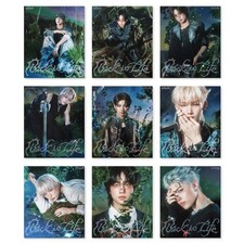 &TEAM BACK TO LIFE KR 1st Mini