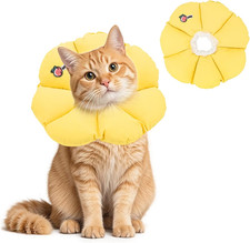 Halskrause Katze, Leckschutz