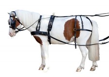 Shetty Einspännergeschirr Berta Pfiff schwarz