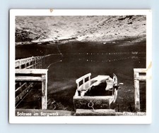 Old Vintage Photo SALZSEE IM