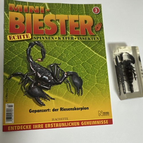 Insekt acryl mini biester - insekt, in