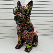 Französische Bulldogge