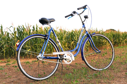 Fahrrad teutoburg rh54cm - fahrrad,