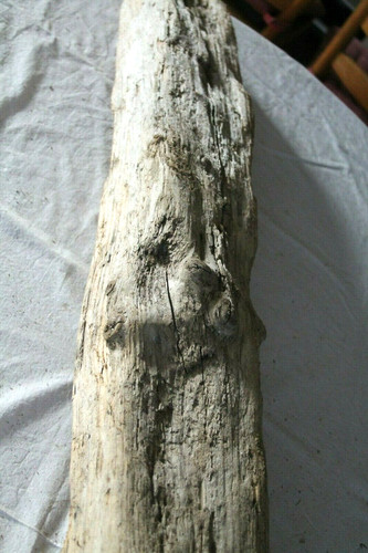 Schwemmholz treibholz xxl - treibholz,