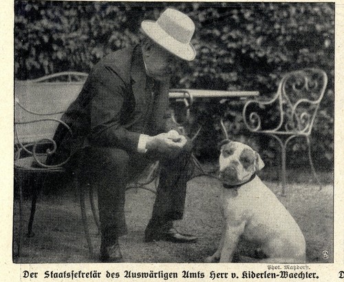 Diplomaten - , *