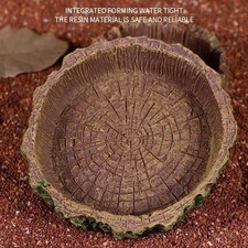 Kleine Reptilienfutterschale