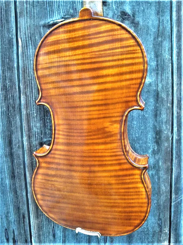 Nice violin lab - ., g.