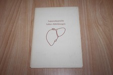 Laparoskopische Leber