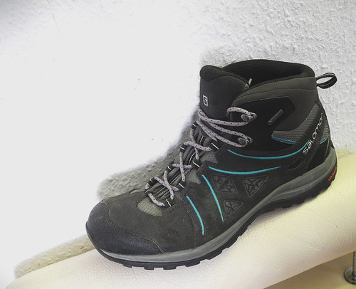 Salomon ellipse gtx - salomon,