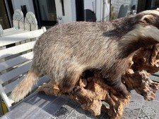 Dinkelacker Größe 10, Modell 9601, Janosh K. Plain