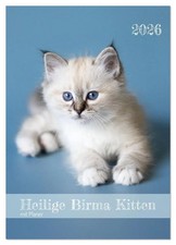 Heilige Birma Kitten Kalender