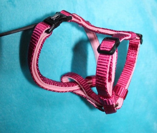 Nobby schickes hunde geschirr - nobby,