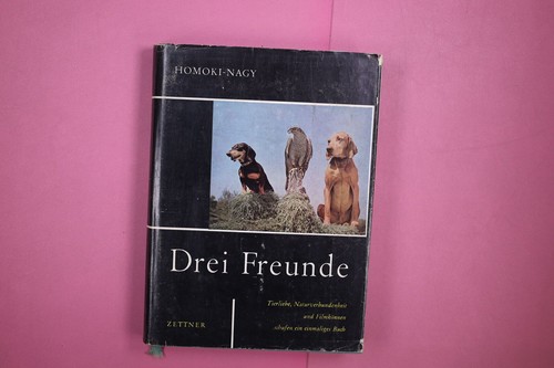 264700 istvan homoki nagy drei - 264700, homoki-nagy