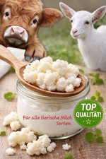 Tibetanische Pilz Milchkefir