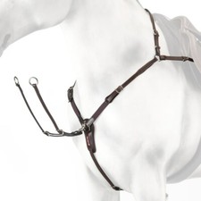 Selleria EQUIPE elastisches