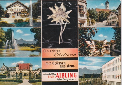 Alte postkarte ein echtes - -,