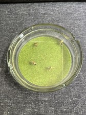 Drouillot Aschenbecher Fußball Vintage 80er