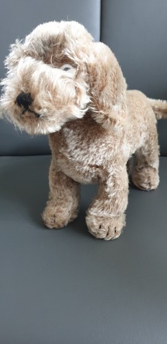 älterer steiffhund raudi mit - raudi,