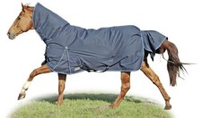 Pony Winter Weidedecke 340g Champion Combo HKM 100cm NEU