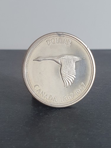 Kanada dollar wildgans - kanada,