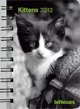 Kittens taschenkalender - ,