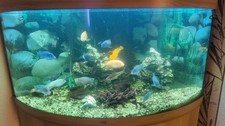 Eckaquarium mit Unterschrank
