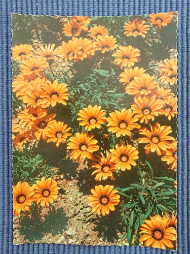 Alte ansichtskarte postkarte - alte,