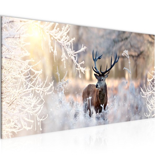Wandbild wald bilder - wandbild,