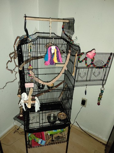 Vogelkäfig wellensittich mit - vogelkäfig,