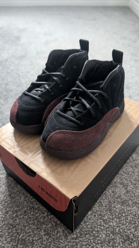 Nike air jordan retro sp - 12,