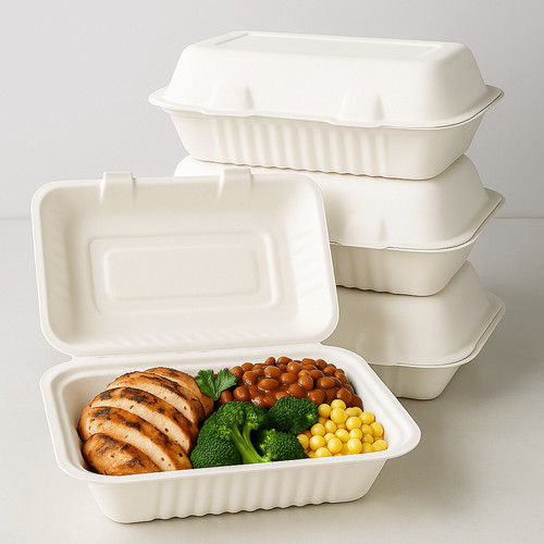 Bagasse snack box - bagasse,