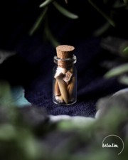 Haifischzähne Glücksbringer