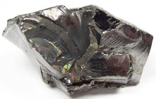 Schungit Edelschungit