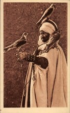 Ak Biskra Algerien, Falkner