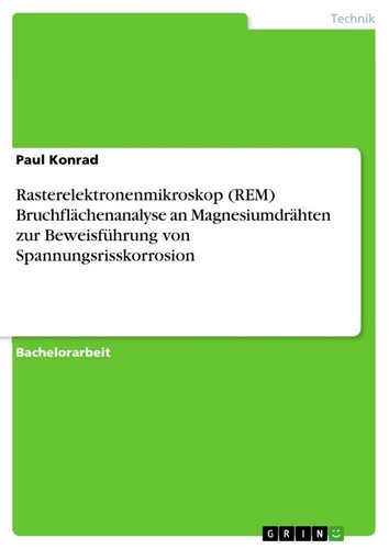 Rasterelektronenmikroskop
