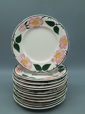Villeroy & Boch Wildrose 12 Beilagenteller 16 cm Teller Handmalerei sehr gut