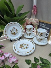 Vintage Arcopal Zwiebelmuster