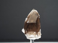 Rauchquarz (mit Phantom)