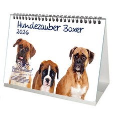 Hundezauber Boxer DIN A5